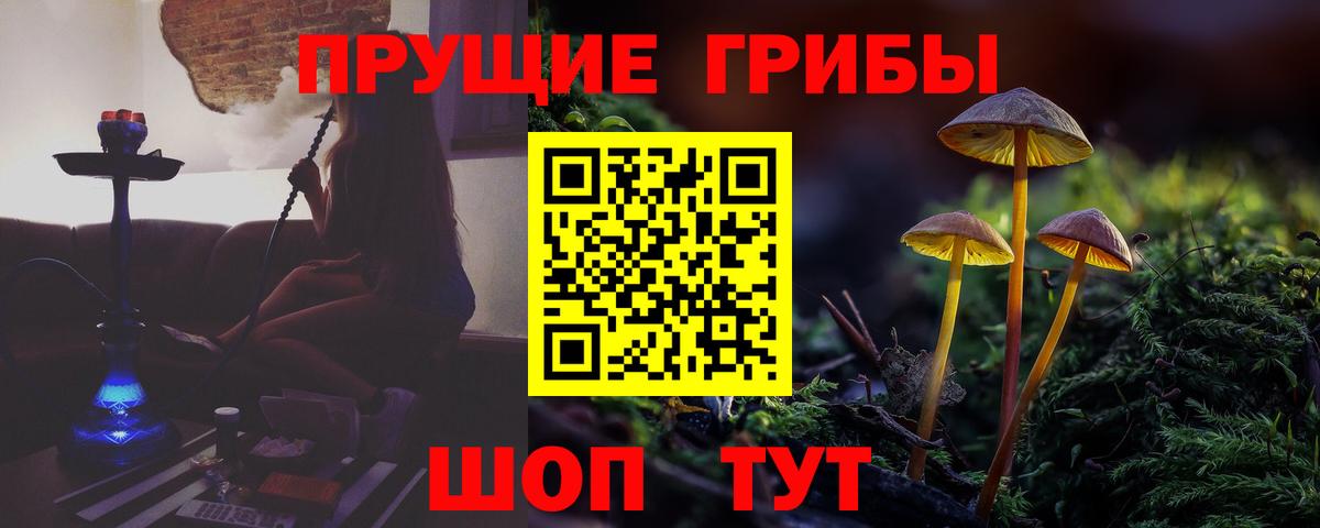 наркота  Вход с VPN  Нурлат  Псилоцибиновые грибы ЛСД  Псилоцибиновые грибы мухоморы 